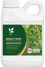 Neem Main Omri-01